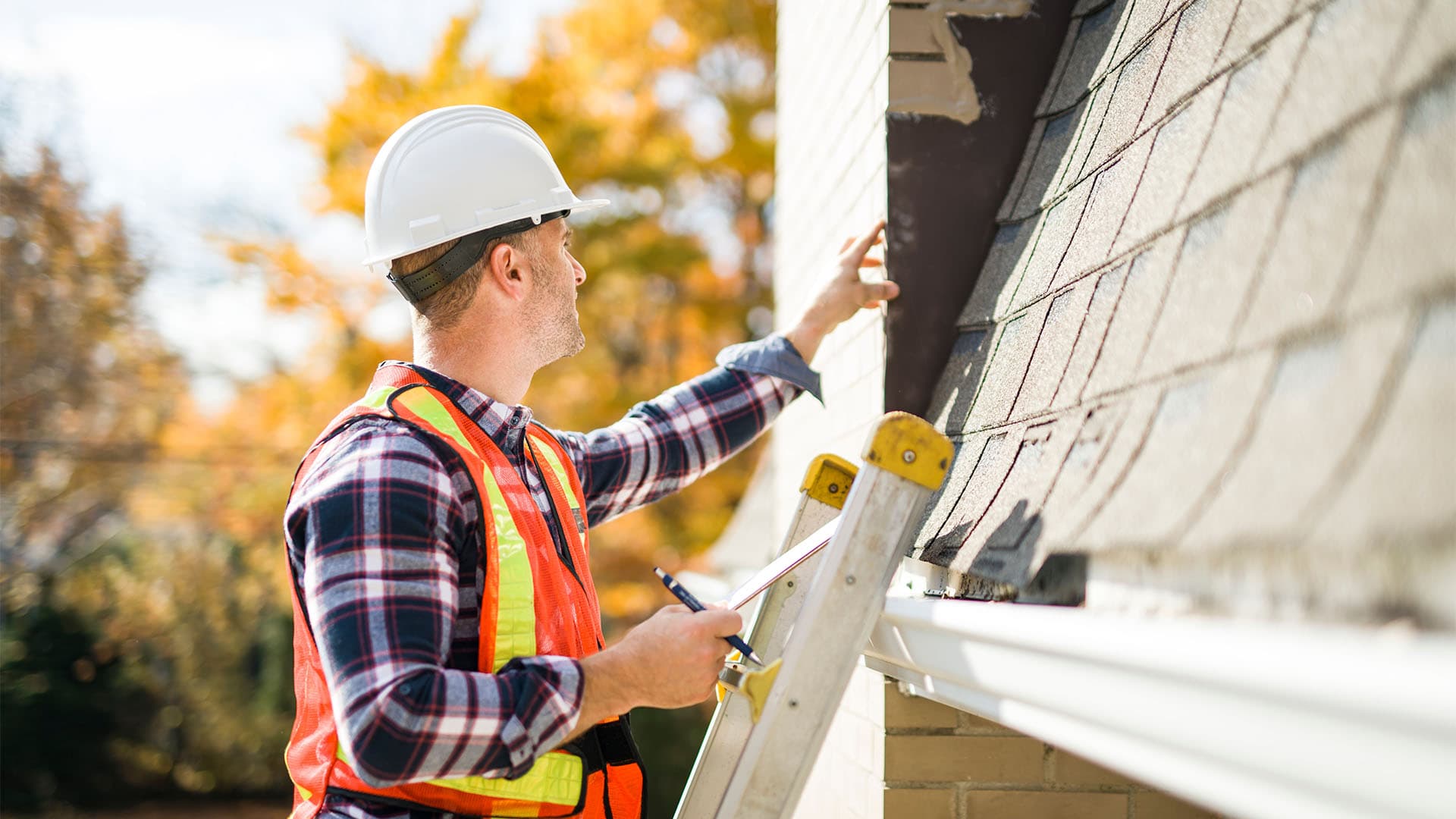 <strong>REGULAR PROPERTY HEALTH CHECKS<strong>